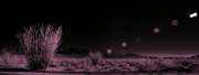 [ Tinted NIR ]