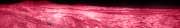 [ NIR Luma / Tinted UVA Colour ]