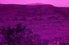 [ Tinted UVA ]
