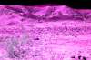 [ NIR Luma / Tinted UVA Colour ]