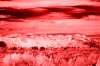 [ Tinted NIR ]
