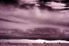 [ Tinted NIR ]