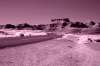 [ Tinted NIR ]