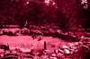 [ Tinted UVA ]