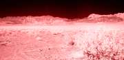 [ Tinted NIR ]