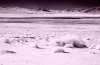 [ Tinted NIR ]