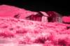 [ NIR Luma / Tinted UVA Colour ]