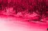 [ Tinted UVA ]