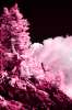 [ NIR Luma / Tinted UVA Colour ]
