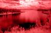 [ Tinted NIR ]