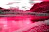 [ NIR Luma / Tinted UVA Colour ]