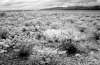 [ NIR [Grey] ]