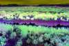 [ All Bands (ADev) Luminance - (Calculated: (Absolute Difference: R - G) - (Absolute Difference: G - B) - (Absolute Difference: B - UVA)) Colour [L/C] ]