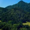 [ Malibu Creek State Park ]