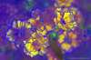 [ (Difference: NIR-G)-(Difference: R-B)-(Difference: B-UVA) [3C] ]