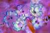 [ (Difference: NIR-R)-(Difference: NIR-G)-(Difference: NIR-UVA) [3C] ]