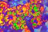 [ (Ratio: NIR To G)-(Ratio: R To B)-(Ratio: G To UVA) [3C] ]