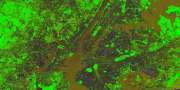 [ GEMI - Vegetation Index Single Scale [Gr] ]