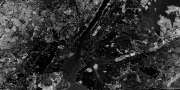 [ ARVI (Positive) [Grey] ]