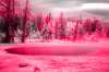 [ West Thumb Geyser Basin Pool ]