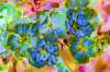 [ Skewness Luminance / ((Ratio: G To NIR)-(Ratio: B To R)-(Ratio: UVA To B)) Colour [LC] ]