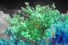 [ NIR Luminance / ((ND (Pos): R-G)-(ND (Pos): R-B)-(ND (Pos): R-UVA)) Colour ]