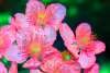 [ NIR Luminance - (Calculated: (Ratio: R To G) - (Ratio: G To B) - (Ratio: UVA 380nm To UVA 360nm)) Colour [L/C] ]