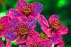 [ UVA 360nm Luminance - (Calculated: (Ratio: R To G) - (Ratio: G To B) - (Ratio: B To UVA 380nm)) Colour [L/C] ]