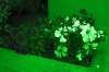 [ UVA Luma / Tinted RGB Colour ]