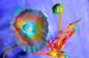 [ NIR Luminance - (Calculated: (Absolute Difference: R - G) - (Absolute Difference: R - B) - (Absolute Difference: R - UVA 380nm)) Colour [L/C] ]