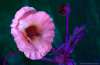 [ UVA 360nm Luminance - (Calculated: (Ratio: G To NIR) - (Ratio: B To G) - (Ratio: UVA 360nm To UVA 380nm)) Colour [L/C] ]