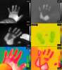 [ Handprints ]