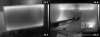 [ Monitors ]