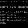 [ HTTP Proxies and Loopback Addresses ]