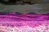 [ All Bands (ADev) Luminance - (Calculated: (Ratio: G To R) - (Ratio: B To R) - (Ratio: UVA To R)) Colour [L/C] ]