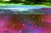 [ All Bands (ADev) Luminance - (Calculated: (Ratio: R To NIR) - (Ratio: G To R) - (Ratio: UVA To B)) Colour - 02 [L/C] ]
