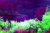 [ All Bands (ADev) Luminance - (Calculated: (Ratio: R To NIR) - (Ratio: G To R) - (Ratio: B To G)) Colour [L/C] ]