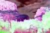 [ All Bands (Kurt) Luminance - (Calculated: (Ratio: R To NIR) - (Ratio: G To R) - (Ratio: UVA To G)) Colour [L/C] ]
