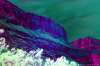 [ All Bands (ADev) Luminance - (Calculated: (Ratio: R To NIR) - (Ratio: G To R) - (Ratio: UVA To G)) Colour [L/C] ]