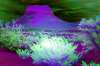 [ All Bands (ADev) Luminance - (Calculated: (Ratio: R To NIR) - (Ratio: G To R) - (Ratio: UVA To G)) Colour [L/C] ]