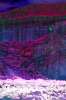 [ All Bands (ADev) Luminance - (Calculated: (Ratio: NIR To B) - (Ratio: R To B) - (Ratio: G To B)) Colour [L/C] ]