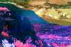 [ All Bands (ADev) Luminance - (Calculated: (Ratio: G To R) - (Ratio: B To G) - (Ratio: UVA To B)) Colour [L/C] ]