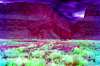 [ All Bands (ADev) Luminance - (Calculated: (Ratio: R To G) - (Ratio: G To B) - (Ratio: B To UVA)) Colour [L/C] ]