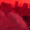 [ False Colour From Filters (and Simulated Filters) ]